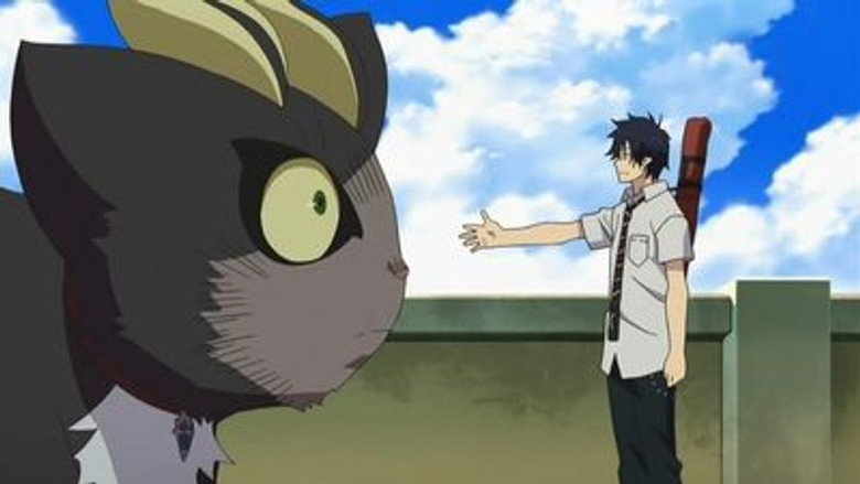 Gato Preto